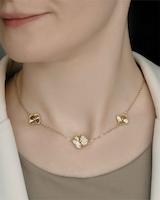 کالکشن ونکلیف